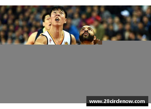 28圈科特迪瓦球员在CBA：跨国篮球联盟的新风采 - 副本