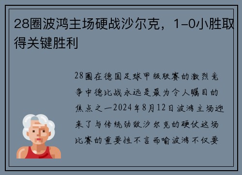 28圈波鸿主场硬战沙尔克，1-0小胜取得关键胜利