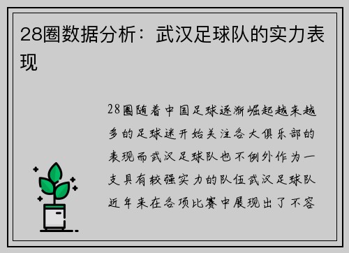 28圈数据分析：武汉足球队的实力表现