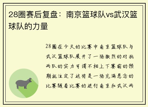 28圈赛后复盘：南京篮球队vs武汉篮球队的力量